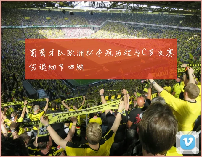 葡萄牙队欧洲杯夺冠历程与C罗决赛伤退细节回顾