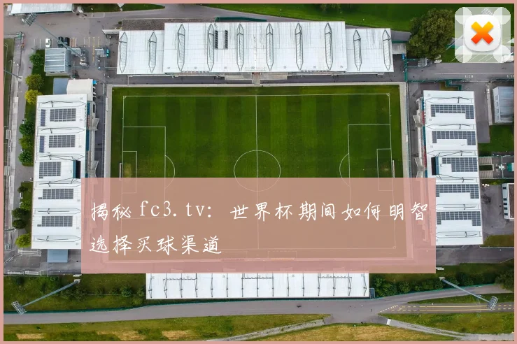 揭秘 fc3.tv：世界杯期间如何明智选择买球渠道