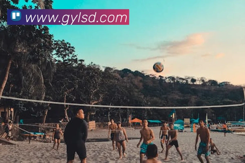 意昂体育官网登录平台生态图